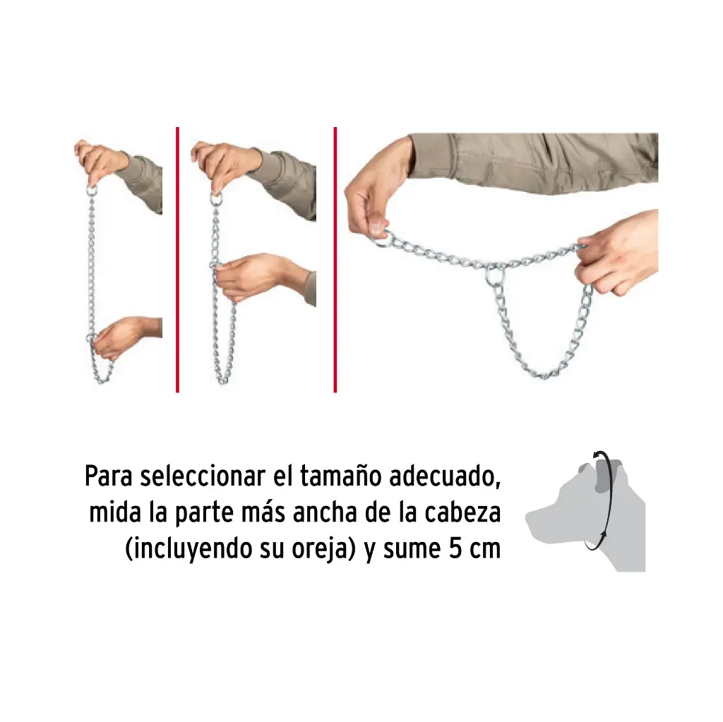 CACA-30+D1.webp
