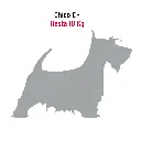 CAPE-25+FC3.webp