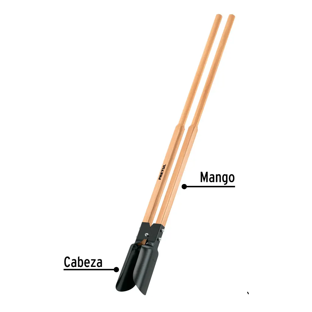 CA-34+FC1.webp