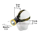 LI-CA-125RP+FC2.webp