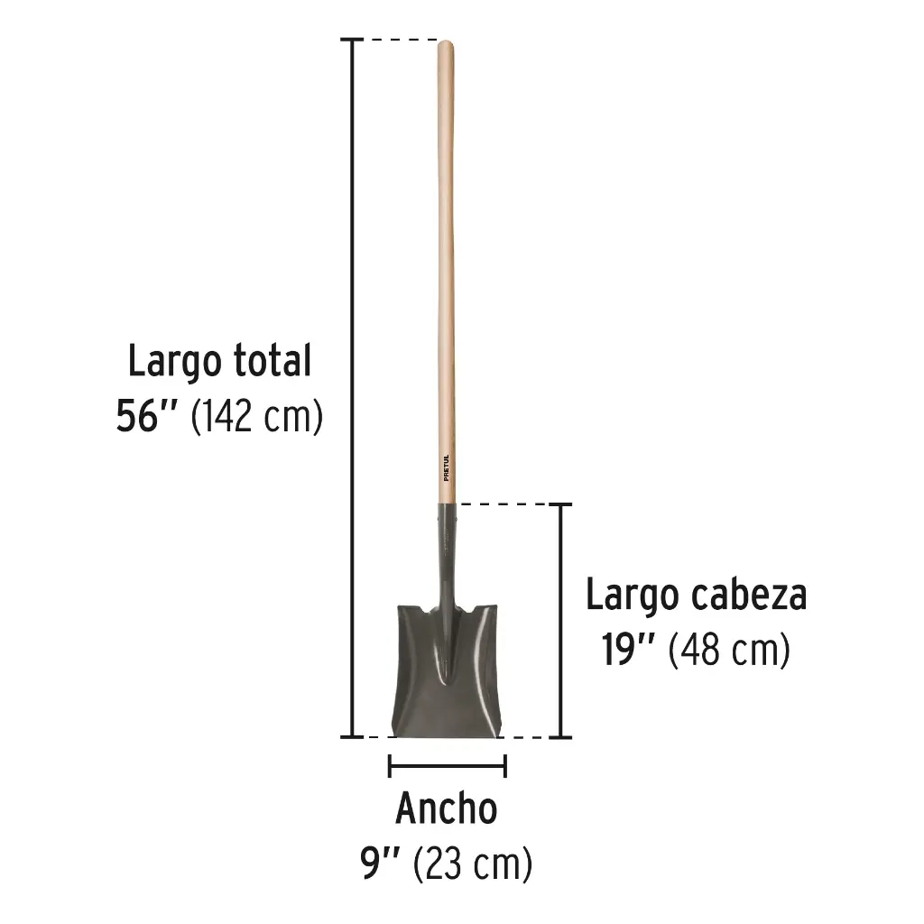 PCD-L+FC2.webp