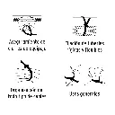 CIN-1810N+D3.webp