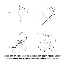 CIN-4015+D3.webp