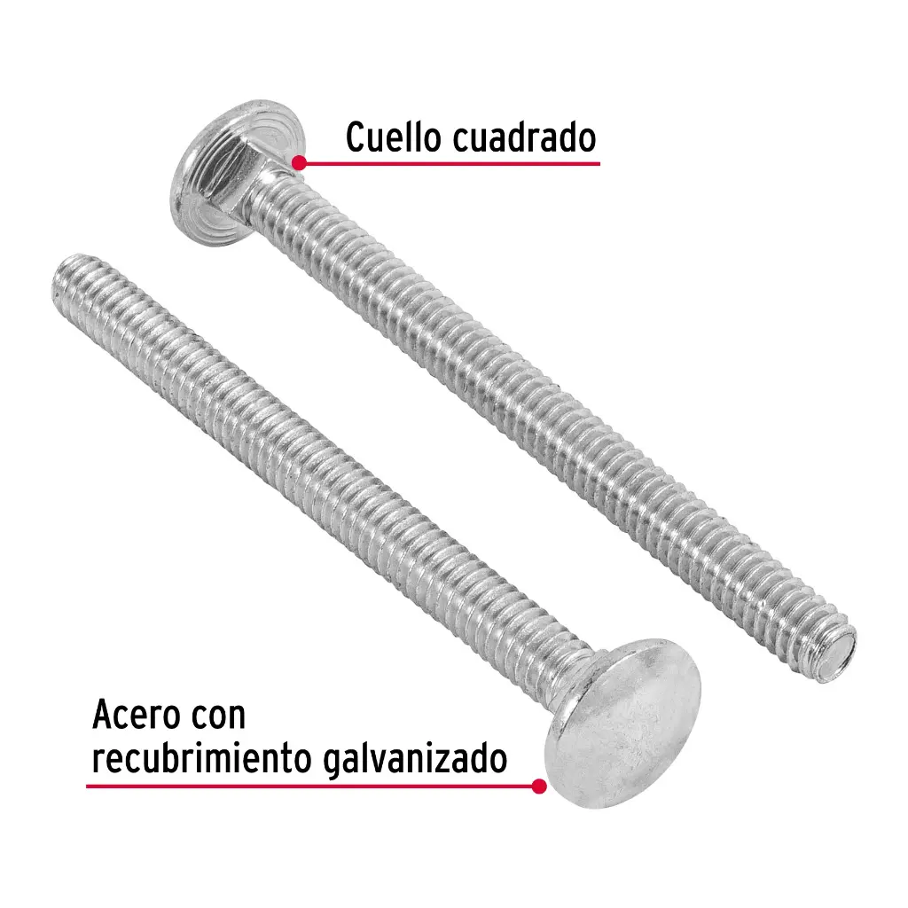 TORC-1-4X3+D1.webp