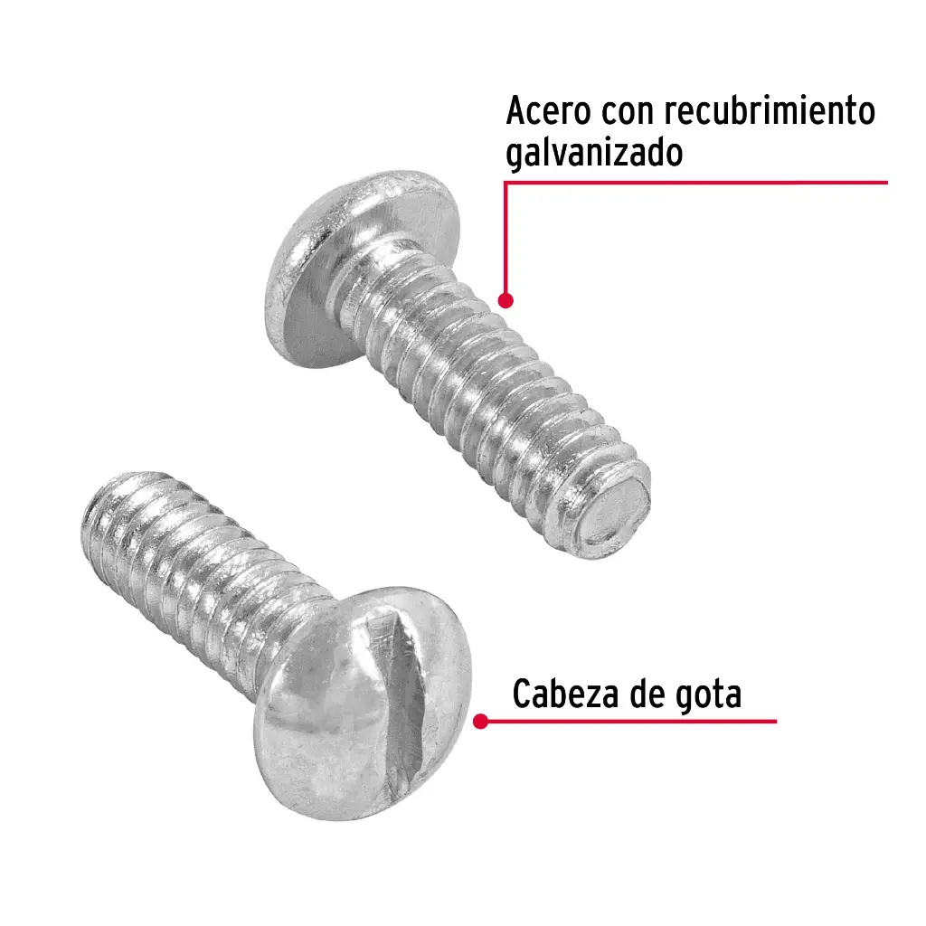 TORE-1-4X3-4+FC1.webp