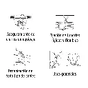 CIN-4020+D3.webp