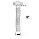 TORM-1-4X1-1-4+FC2.webp