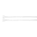CIN-5050.webp