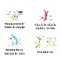 CIN-20C+D2.webp