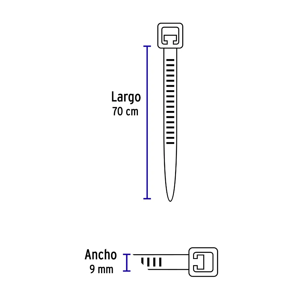 CIN-17570+FC2 (1).webp