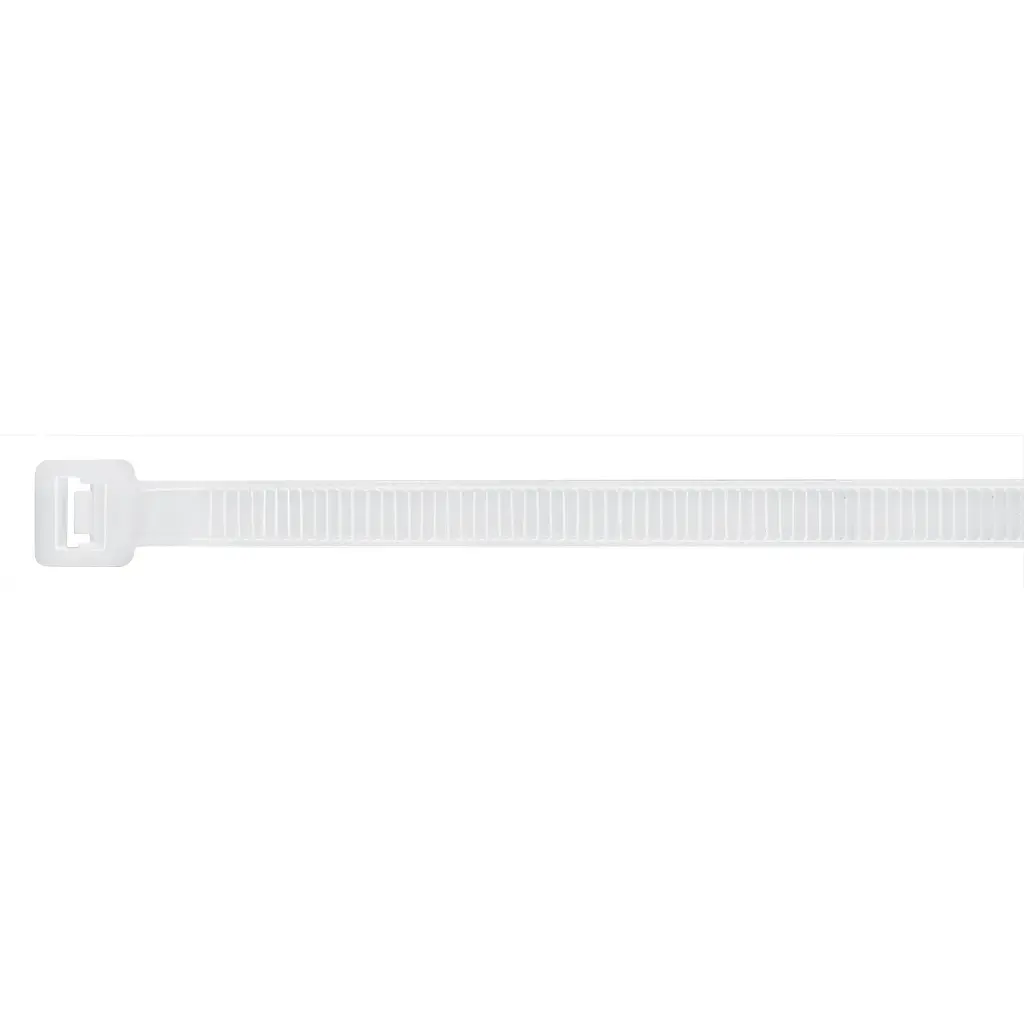 CIN-17570 (1).webp