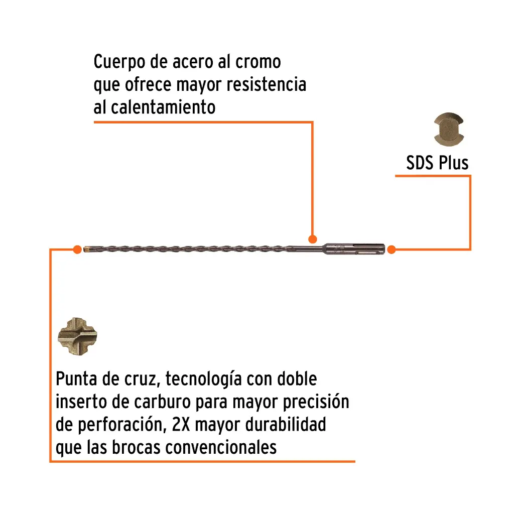 BS-1-4X10+FC1.webp