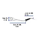 CAGU-3+FC2.webp