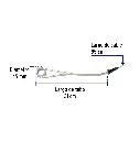 CAGU-10+FC2.webp