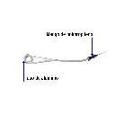 CAGU-10+FC1.webp