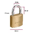 CH-30P+D3.webp