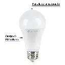 LED-100F+FC1.webp