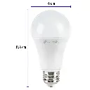 LED-100F+FC2.webp