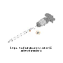 SDS-C1+D1.webp