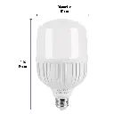 LED-250+FC2.webp