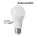 LED-100FBX4+FC1.webp