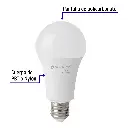 LED-125FBX4+FC1.webp