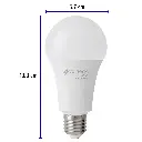 LED-125FBX4+FC2.webp