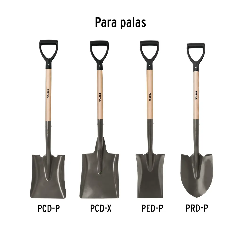 MG-PDP-Y+D1.webp