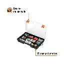 ORG-11+FC1.webp