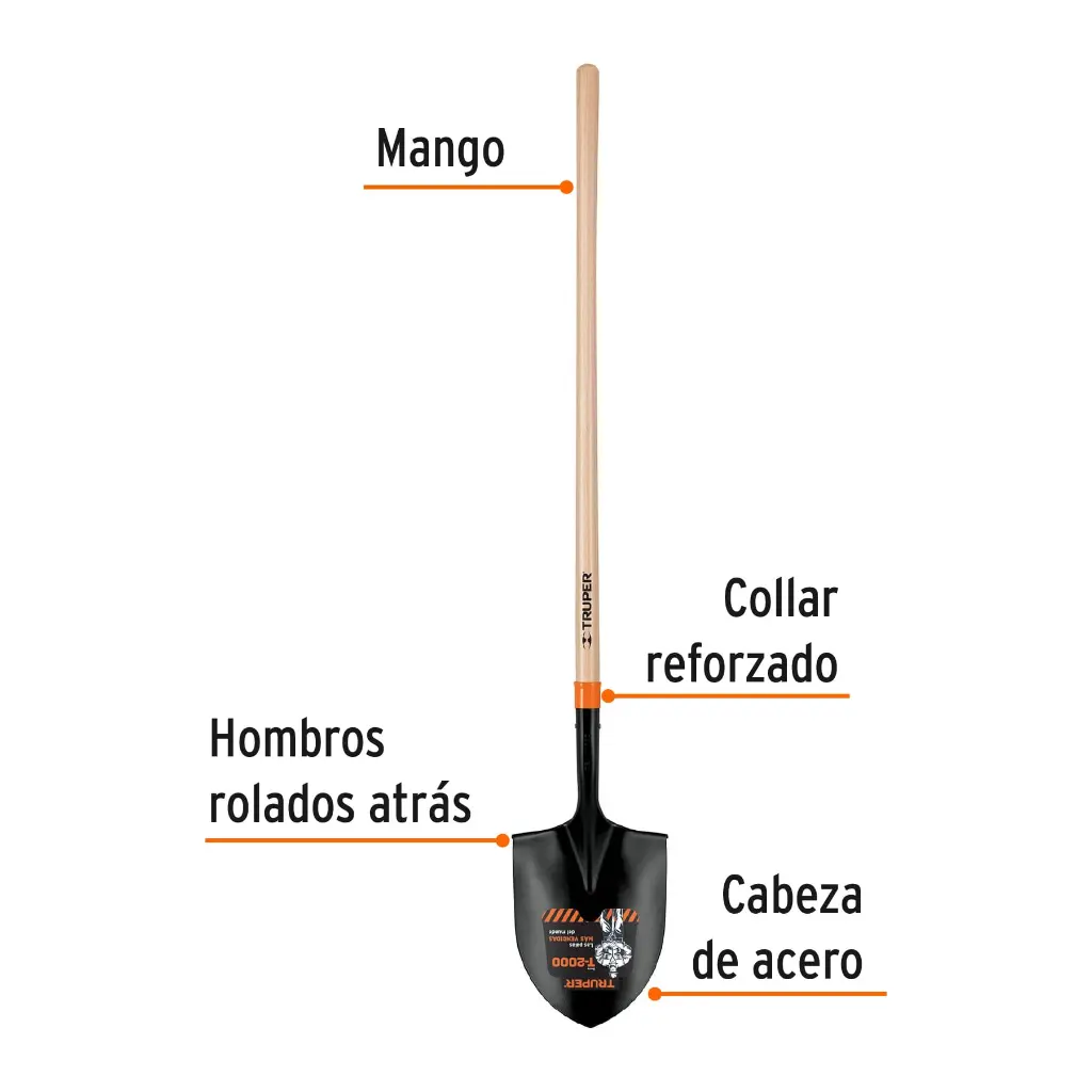 PIR-P+FC1.webp