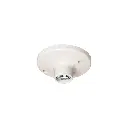 POPL-11.webp