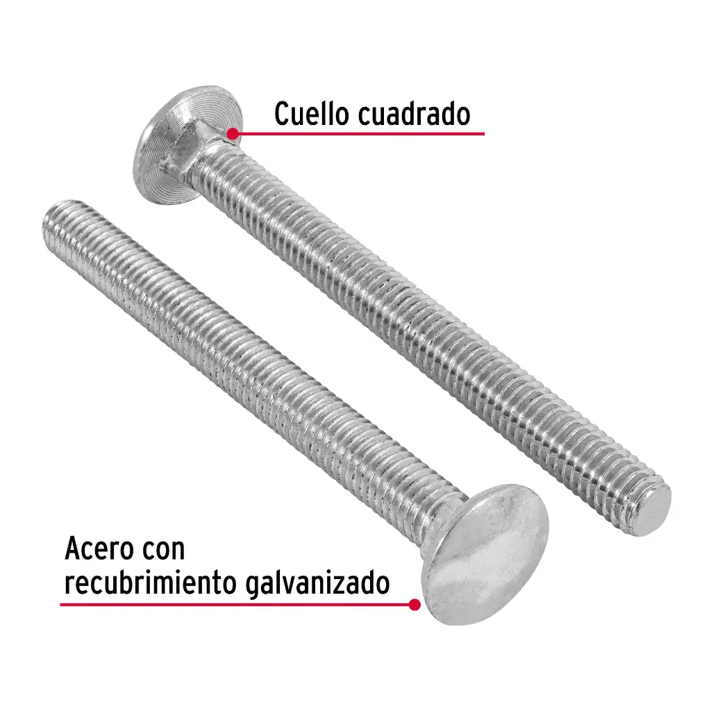 TORC-3-8X4+D1.webp