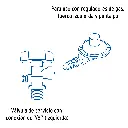 CILG-6+D1.webp