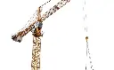 CONSTRUCCION_1262365489-min.webp