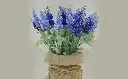 object-3062127_960_720-decoracion-piolas-min.webp