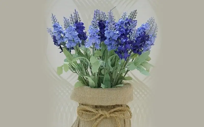 object-3062127_960_720-decoracion-piolas-min.webp
