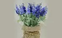 object-3062127_960_720-decoracion-piolas-min.webp