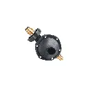 RG-101.webp