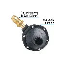 RG-100+FC1.webp