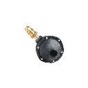 RG-100.webp