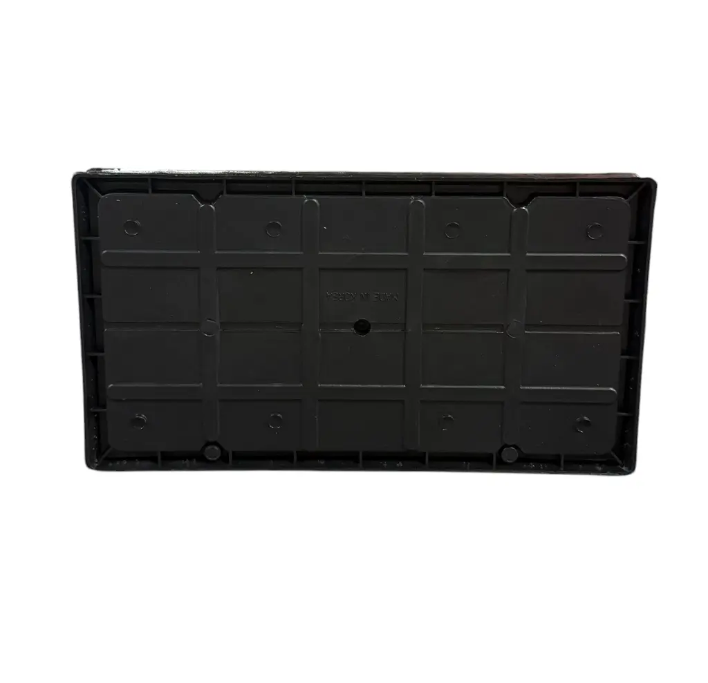 TRAMPA PARA RATON GRANDE CON 2PZ (GLUE TRAPS) abierta-Photoroom.webp