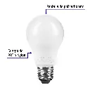 imgi_4_LED-40F+FC1.webp
