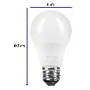 imgi_5_LED-40F+FC2.webp