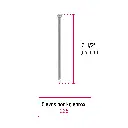 CLS-2-1-2+FC1.webp