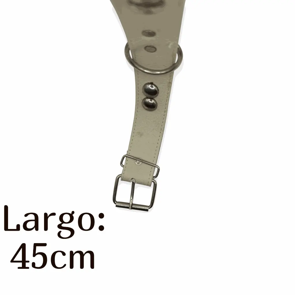 Collar para perro 1 12 cromo  Kanio (1).webp