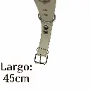Collar para perro 1 12 cromo  Kanio (1).webp