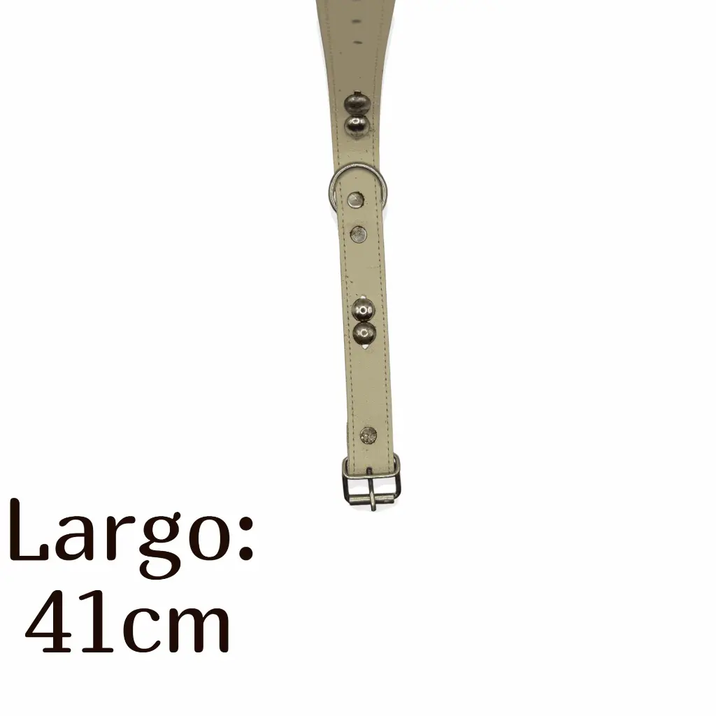 Collar para perro 1 cromo  Kanio (1).webp