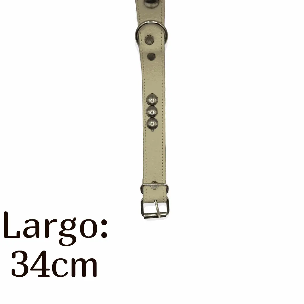Collar para perro 34 cromo  Kanio (1).webp