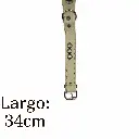 Collar para perro 34 cromo  Kanio (1).webp