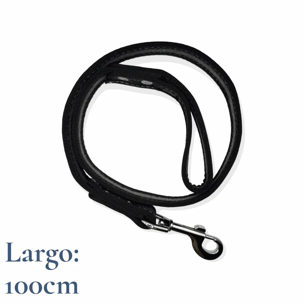 Correa para perro 1m de polipropileno colores  Kanio (3).webp